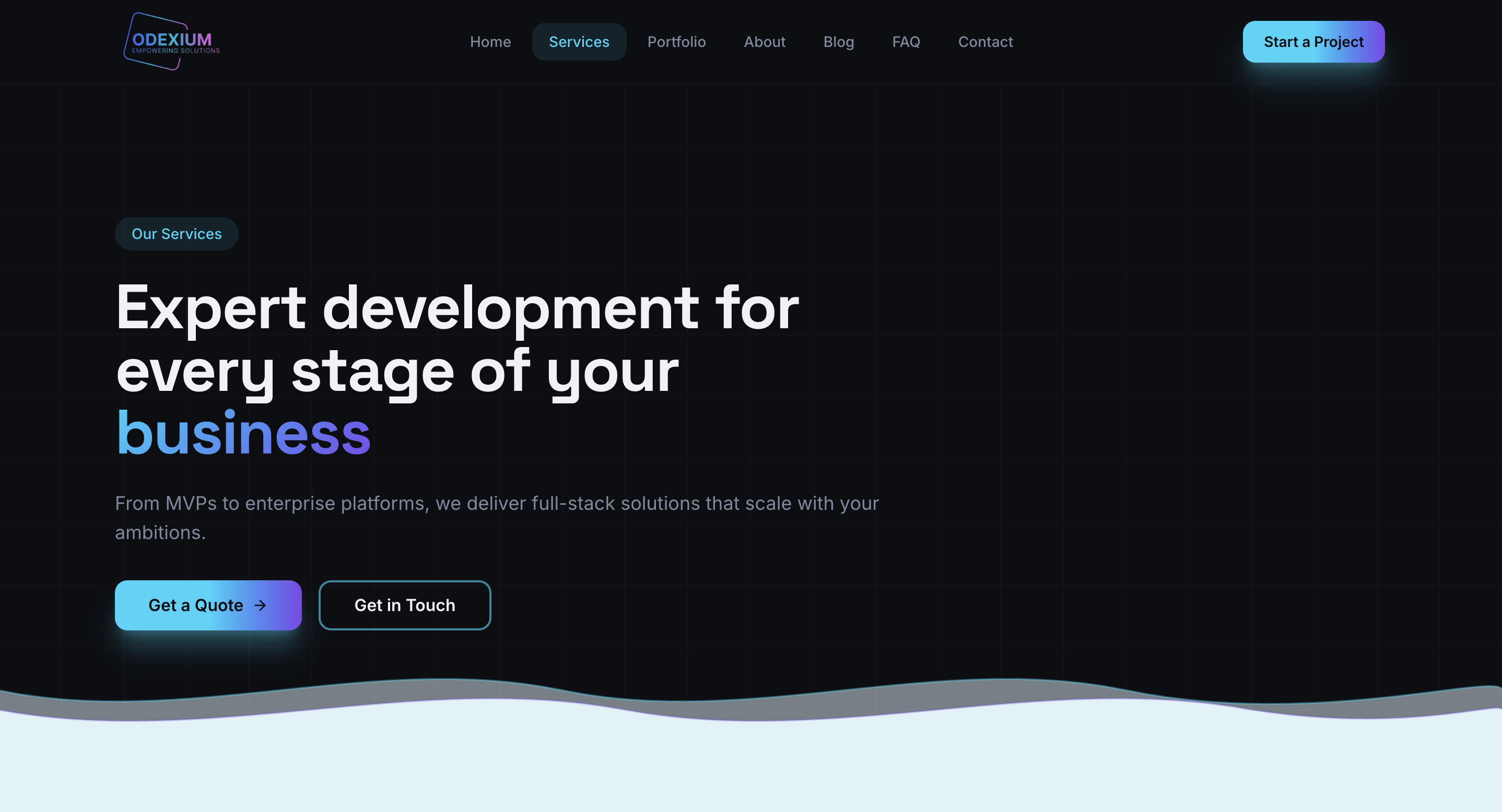Odexium – Software Development Platform screenshot 2